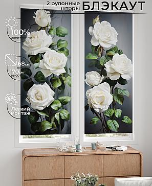 Комплект рулонных штор «Лургас - 57 - ширина 68 см» | фото