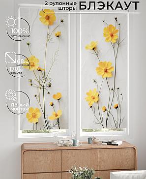 Комплект рулонных штор «Лургас - 58 - ширина 68 см» | фото