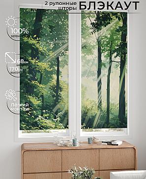 Комплект рулонных штор «Лургас - 68 - ширина 68 см» | фото