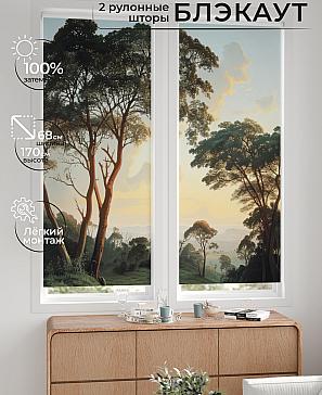 Комплект рулонных штор «Лургас - 92 - ширина 68 см» | фото 2