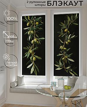 Комплект рулонных штор «Лургас - 115 - ширина 68 см» | фото