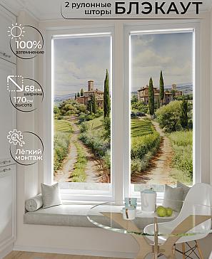 Комплект рулонных штор «Лургас - 118 - ширина 68 см» | фото