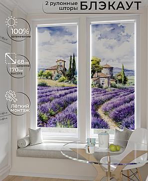 Комплект рулонных штор «Лургас - 119 - ширина 68 см» | фото