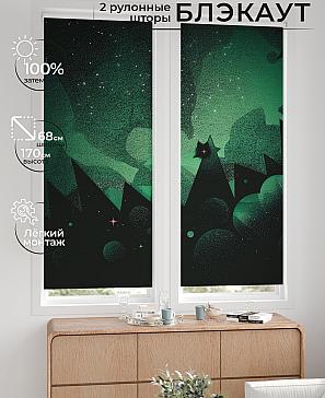 Комплект рулонных штор «Лургас - 132 - ширина 68 см» | фото