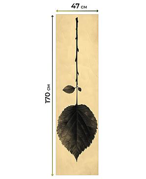 Комплект рулонных штор «Маргронс - 04 - ширина 47 см» | фото 3