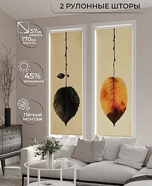 Комплект рулонных штор «Рамтис - 04 - ширина 57 см» | фото