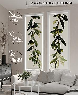 Комплект рулонных штор «Рамтис - 10 - ширина 57 см» | фото