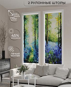 Комплект рулонных штор «Рамтис - 26 - ширина 57 см» | фото