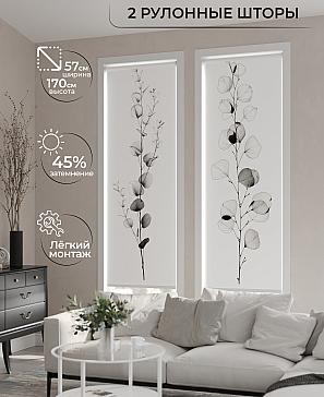 Комплект рулонных штор «Рамтис - 38 - ширина 57 см» | фото