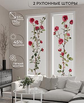 Комплект рулонных штор «Рамтис - 46 - ширина 57 см» | фото