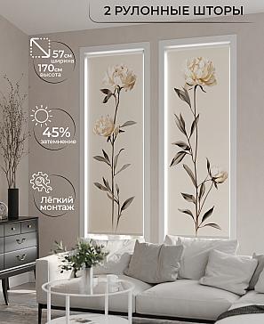 Рулонные шторы «Рамтис - 53 - ширина 57 см»