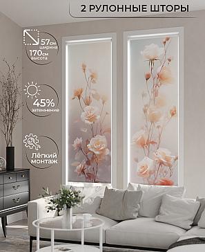 Комплект рулонных штор «Рамтис - 55 - ширина 57 см» | фото