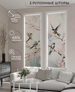 Комплект рулонных штор «Рамтис - 62 - ширина 57 см» | фото