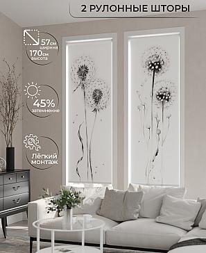 Комплект рулонных штор «Рамтис - 65 - ширина 57 см» | фото