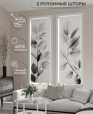 Комплект рулонных штор «Рамтис - 67 - ширина 57 см» | фото