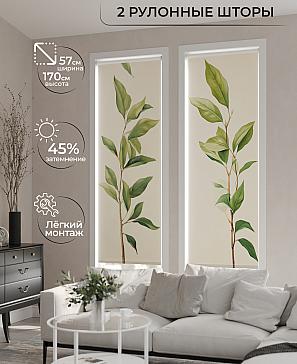 Комплект рулонных штор «Рамтис - 68 - ширина 57 см» | фото