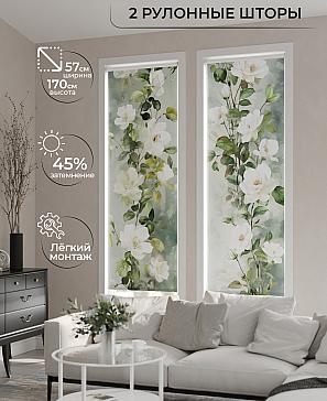 Комплект рулонных штор «Рамтис - 74 - ширина 57 см» | фото