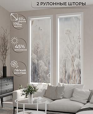 Комплект рулонных штор «Рамтис - 82 - ширина 57 см» | фото