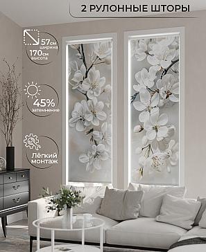 Комплект рулонных штор «Рамтис - 87 - ширина 57 см» | фото