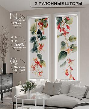 Комплект рулонных штор «Рамтис - 93 - ширина 57 см» | фото