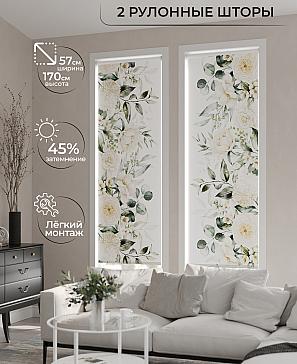 Комплект рулонных штор «Рамтис - 109 - ширина 57 см» | фото