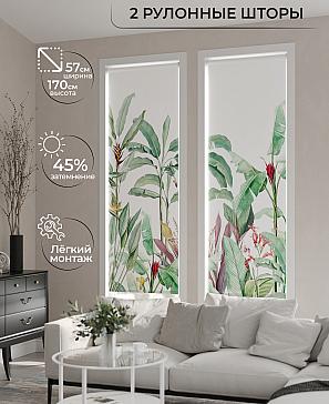 Комплект рулонных штор «Рамтис - 130 - ширина 57 см» | фото 2