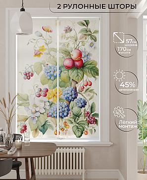 Комплект рулонных штор «Рамтис - 155 - ширина 57 см» | фото