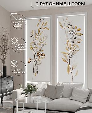 Комплект рулонных штор «Ралвиар - 02 - ширина 68 см» | фото