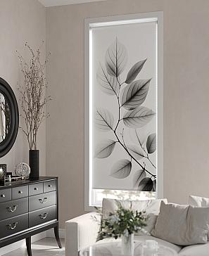 Рулонные шторы «Ралвиар - 32 - ширина 68 см»