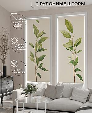 Комплект рулонных штор «Ралвиар - 33 - ширина 68 см» | фото