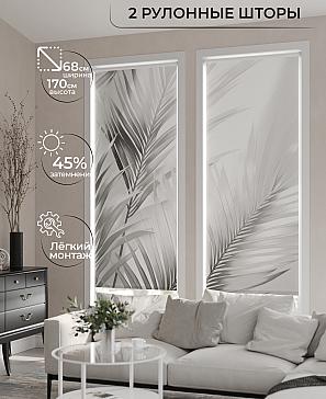 Комплект рулонных штор «Ралвиар - 61 - ширина 68 см» | фото