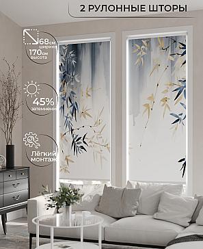 Комплект рулонных штор «Ралвиар - 89 - ширина 68 см» | фото