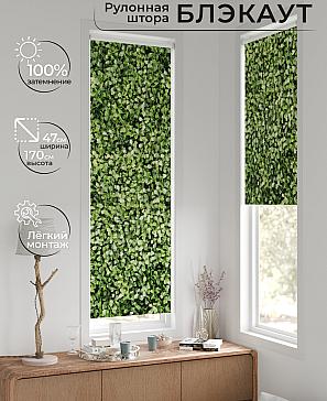 Рулонная штора «Ронтокс - 60 - ширина 47 см» | фото