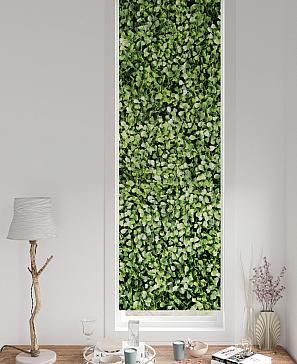 Рулонная штора «Ронтокс - 60 - ширина 47 см» | фото 3