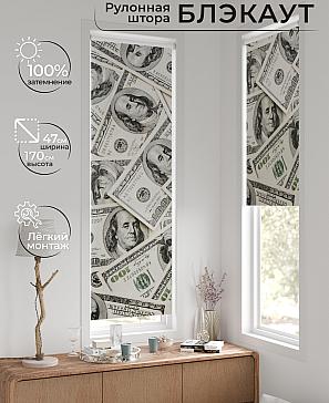 Рулонная штора «Ронтокс - 90 - ширина 47 см» | фото