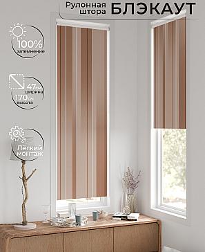 Рулонная штора «Ронтокс - 96 - ширина 47 см» | фото