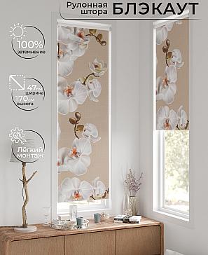 Рулонная штора «Ронтокс - 127 - ширина 47 см» | фото