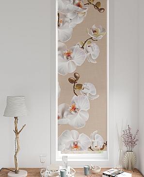 Рулонная штора «Ронтокс - 127 - ширина 47 см» | фото 3