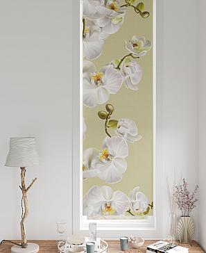 Рулонная штора «Ронтокс - 128 - ширина 47 см» | фото 3