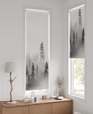 Рулонная штора «Ронтокс - 165 - ширина 47 см» | фото 2