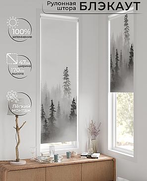 Рулонная штора «Ронтокс - 165 - ширина 47 см» | фото