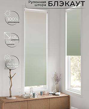 Рулонная штора «Ронтокс - 166 - ширина 47 см» | фото