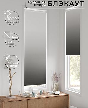 Рулонная штора «Ронтокс - 180 - ширина 47 см» | фото