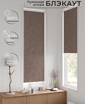 Рулонная штора «Ронтокс - 185 - ширина 47 см» | фото