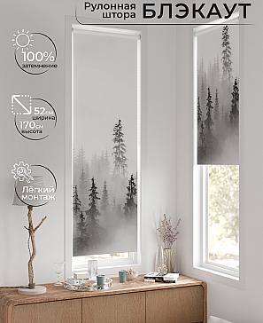 Рулонная штора «Лингрос - 165 - ширина 52 см» | фото