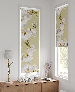 Рулонная штора «Лингрос - 128 - ширина 52 см» | фото 2