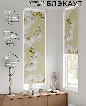 Рулонная штора «Лингрос - 128 - ширина 52 см» | фото