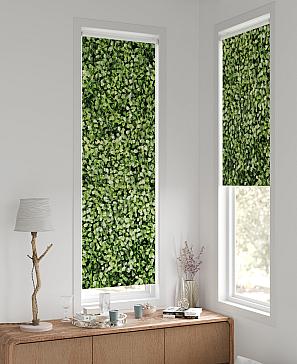 Рулонная штора «Лингрос - 60 - ширина 52 см» | фото 2