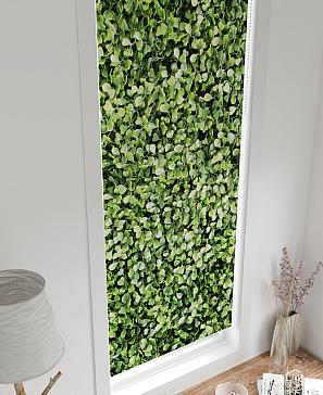 Рулонная штора «Лингрос - 60 - ширина 52 см»