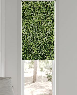 Рулонная штора «Лингрос - 60 - ширина 52 см»